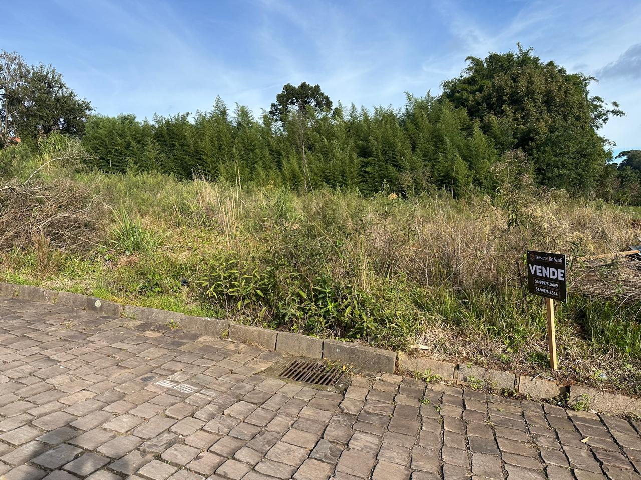 Imagem propriedade TERRENO