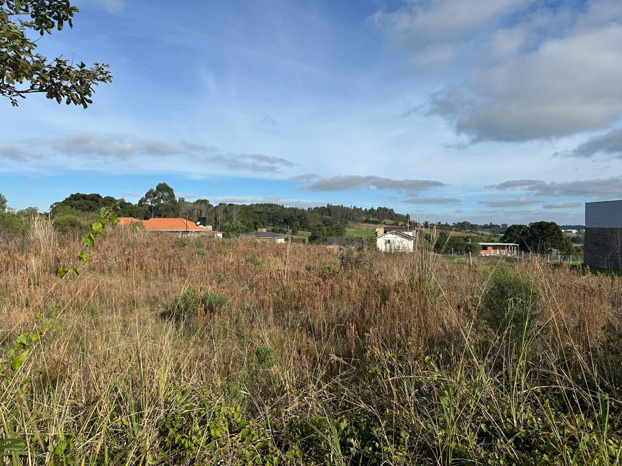 Imagem propriedade TERRENO