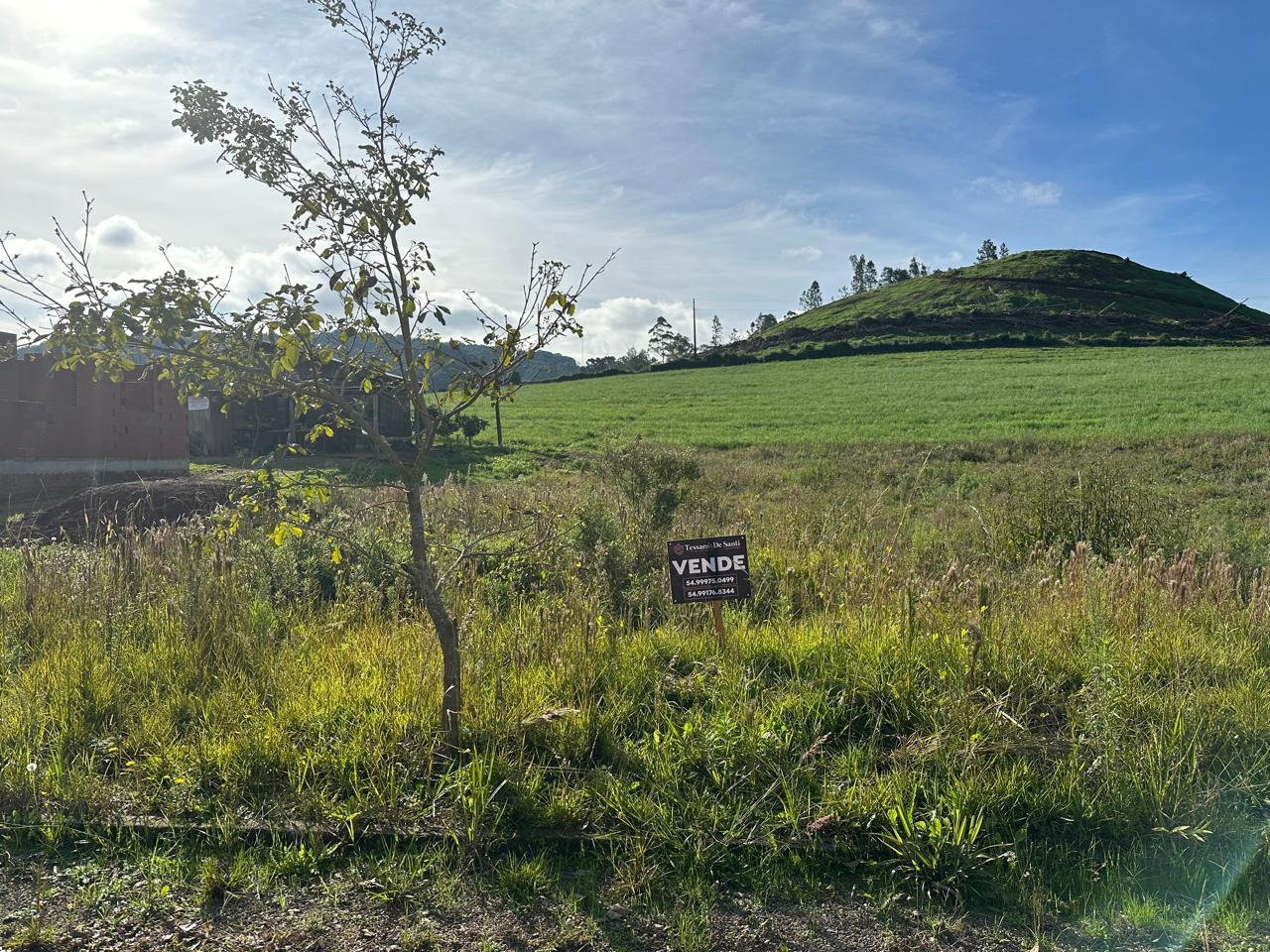 Imagem propriedade TERRENO
