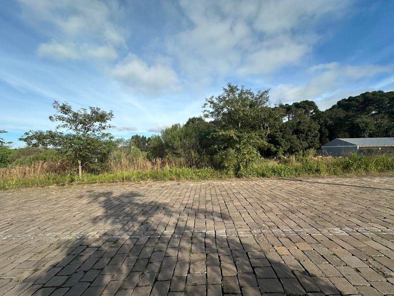 Imagem propriedade TERRENO