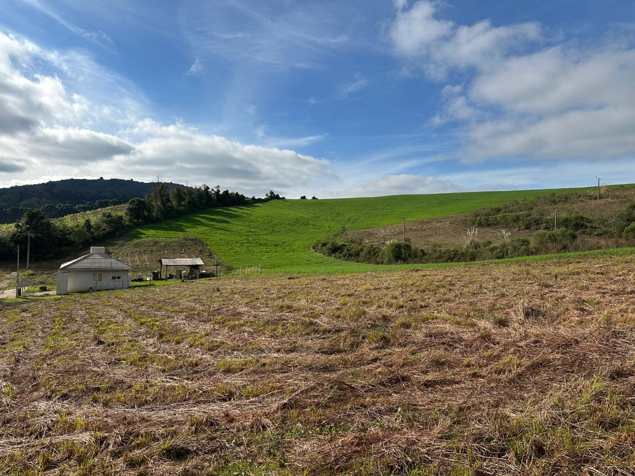 Imagem propriedade TERRENO