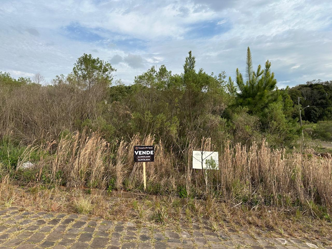 Imagem propriedade TERRENO