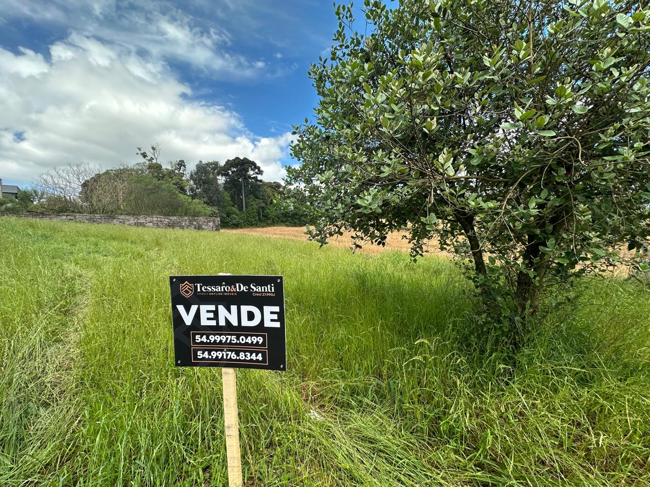 Imagem propriedade TERRENO
