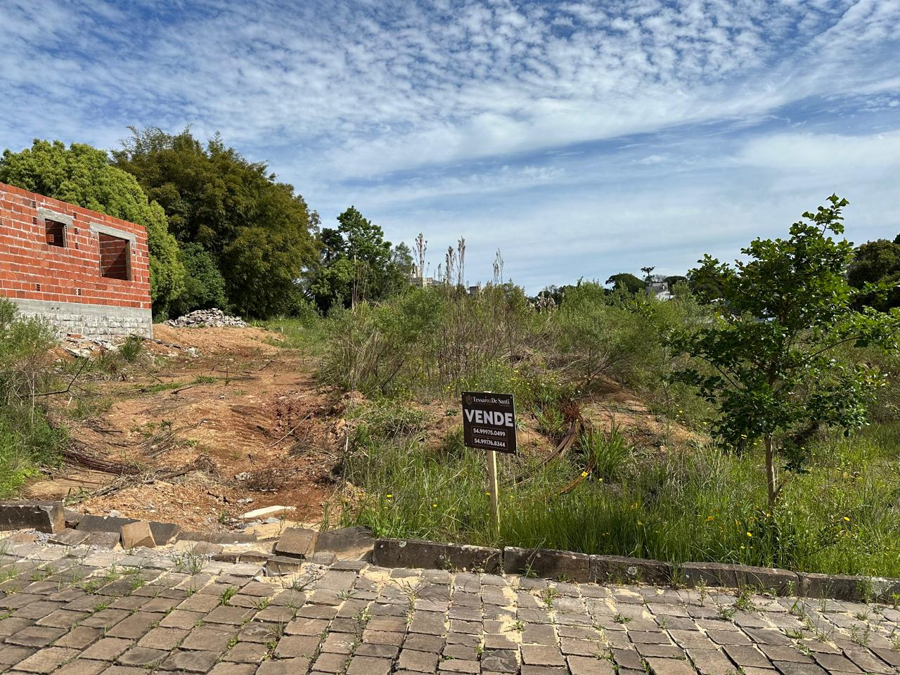 Imagem propriedade TERRENO