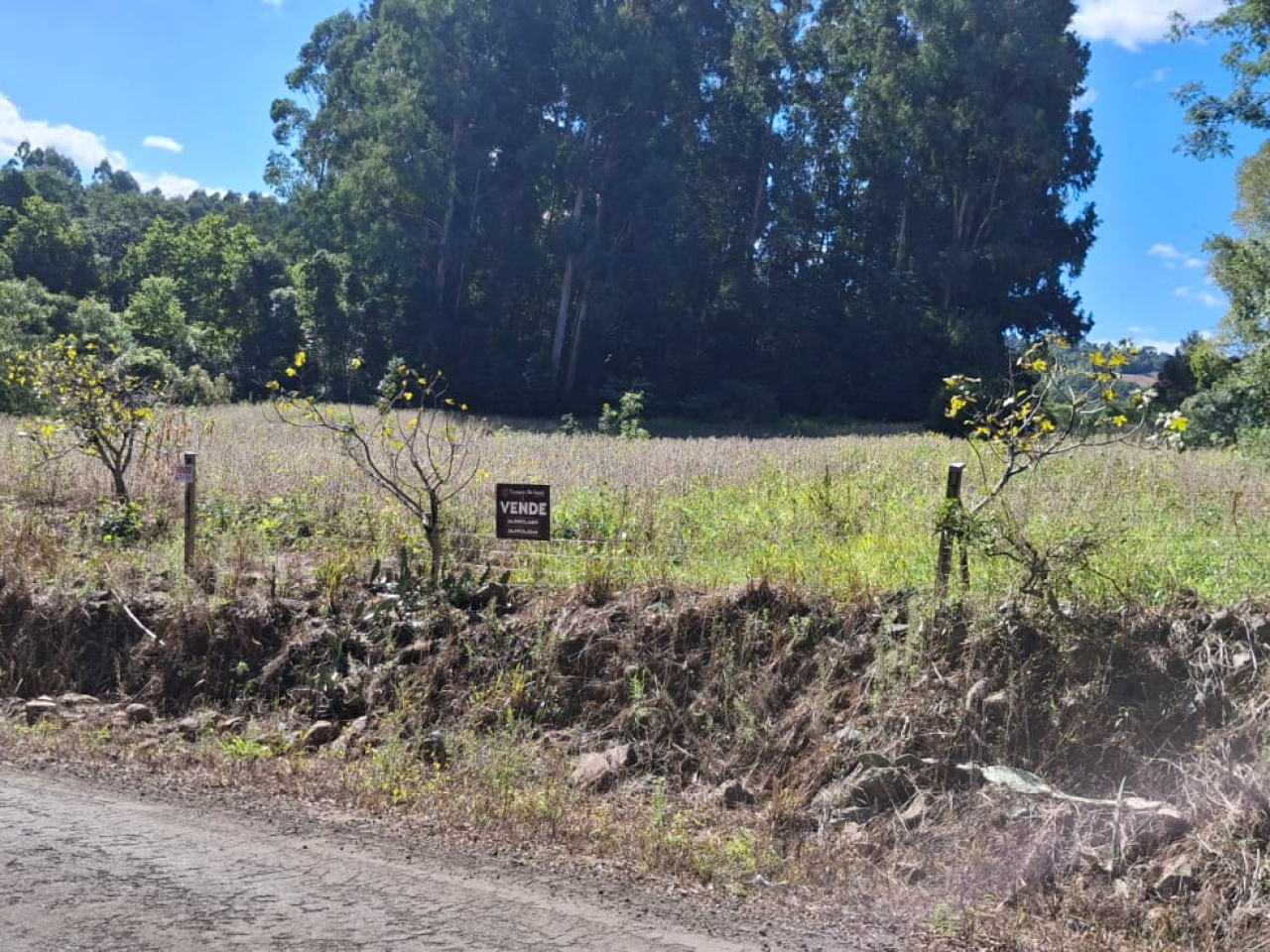 Imagem propriedade ÁREA DE TERRAS