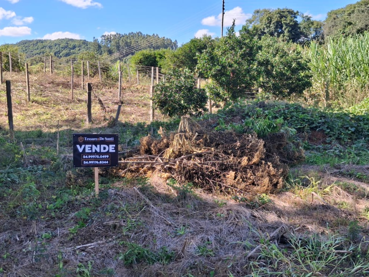 Imagem propriedade TERRENO