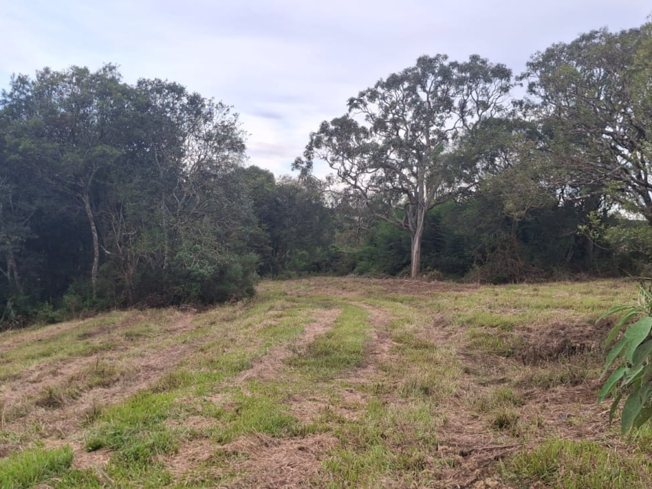 Imagem propriedade ÁREA DE TERRAS