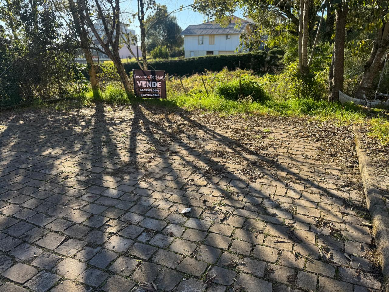 Imagem propriedade TERRENO