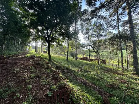 Imagem propriedade SÍTIO