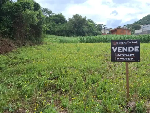 Imagem propriedade TERRENO