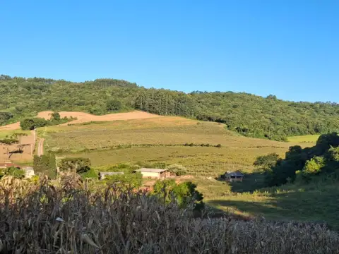 Imagem propriedade ÁREA DE TERRAS