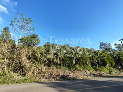 Imagem propriedade ÁREA DE TERRAS